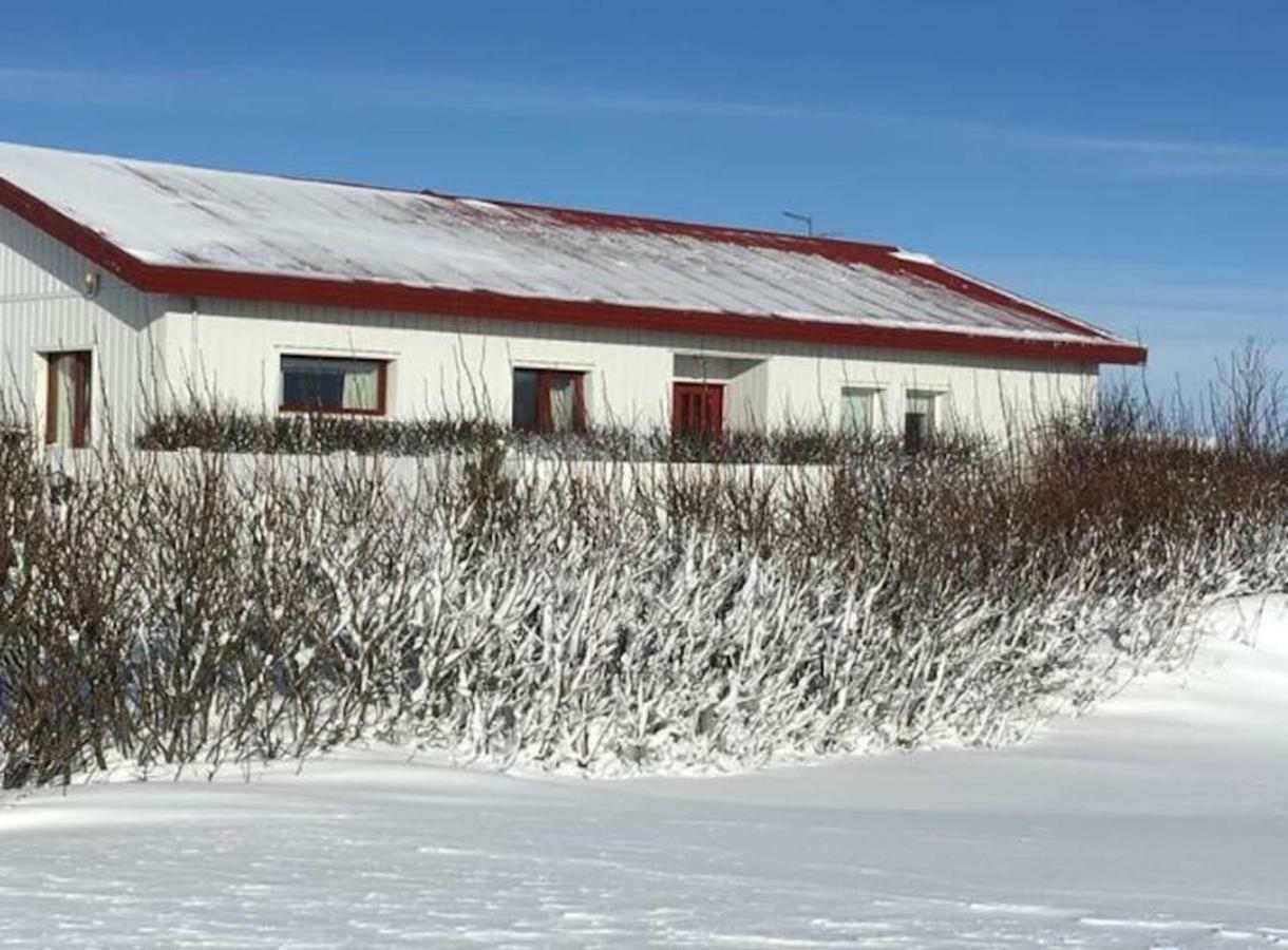 Selalaekur Country Guesthouse هيلاّ المظهر الخارجي الصورة